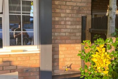 Composite boxing-in of meter box composite cladding